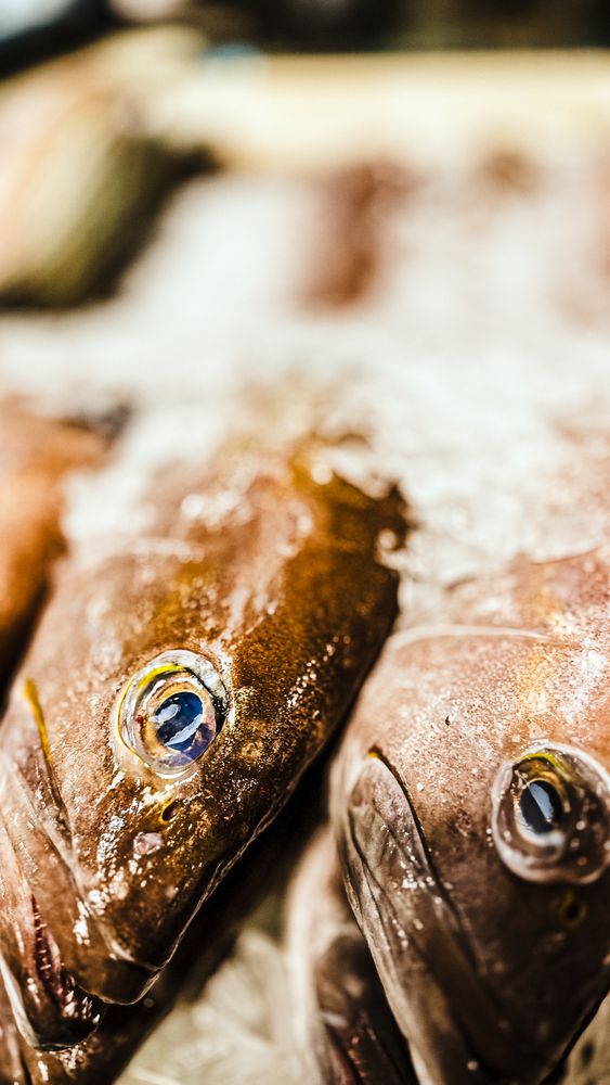 Rose's Seafood
