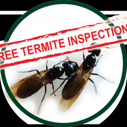 Kilter Termite Pest Control 12 Reviews 8939 S Photo Of Kilter Termite Pest Control Los Angeles Ca United States