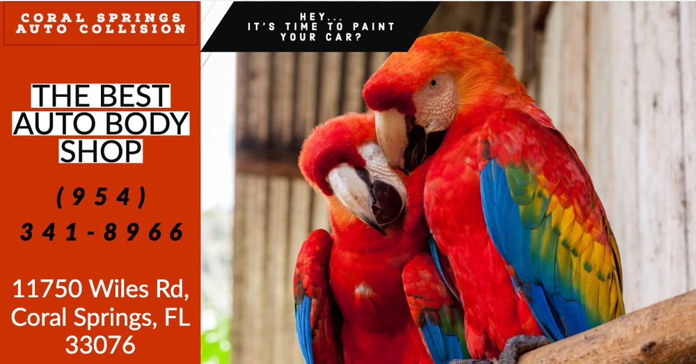 Coral Springs Auto Collision