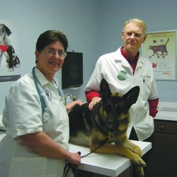 Mt Washington Animal Clinic - Veterinarians - 727 N Bardstown Rd, Mount Mt Washington Animal Clinic - Veterinarians - 727 N Bardstown Rd, Mount