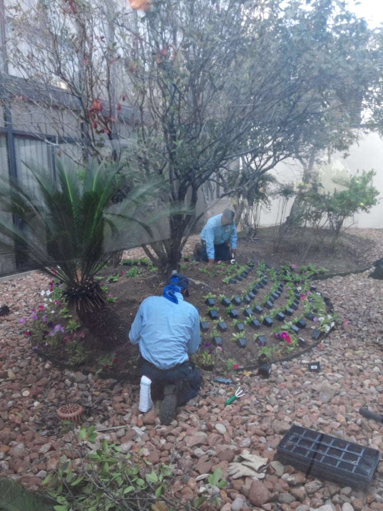 US Lawns - Beaumont