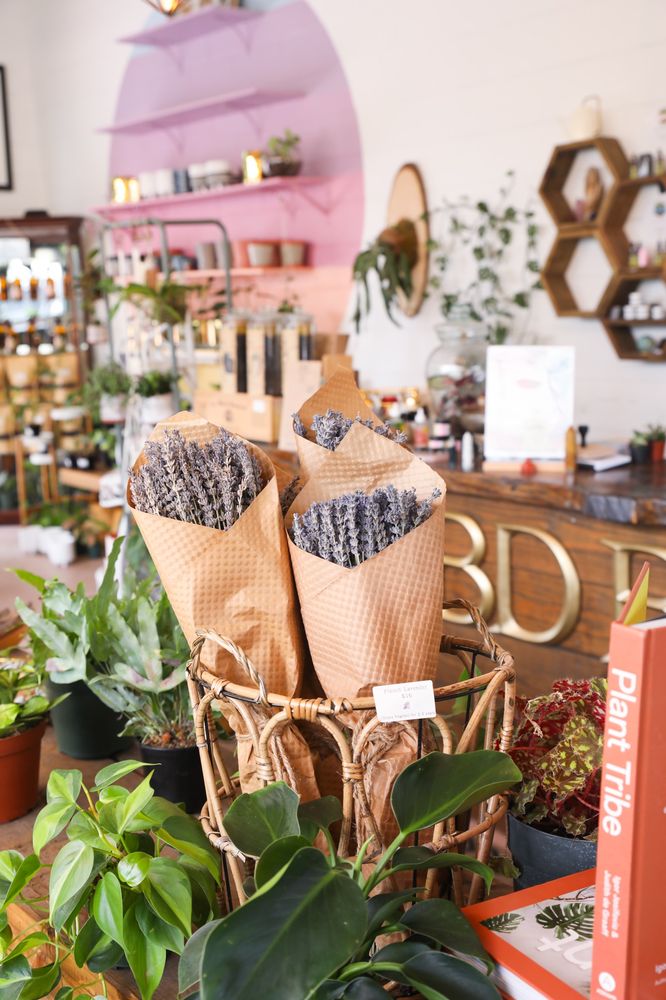 Wilderness Plant Shop