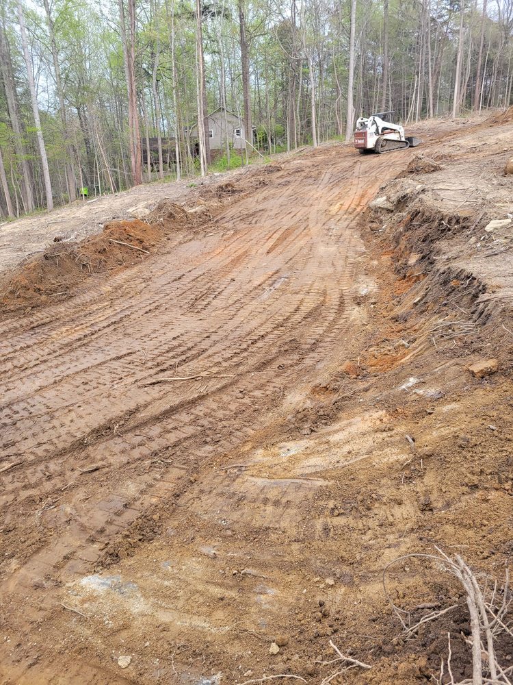 Beaver Lake Tree Service