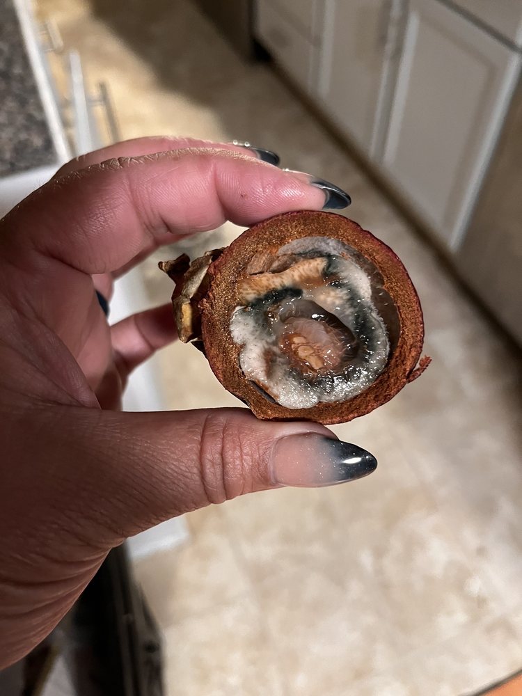 Asian Market International