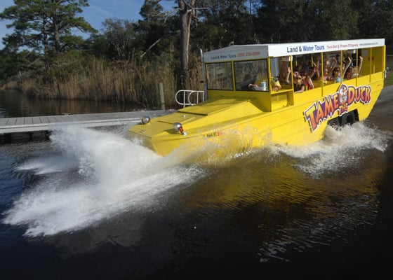 Duck Boat Tours Panama City Beach Duck Boat Tours Panama City Beach