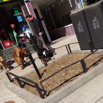 Ithaca Outdoor 14 Reviews Bike Als 206 E State St Photo Of Ithaca Outdoor Ny United States The Dog Came