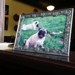 corner pug west hartford ct the corner pug 117 photos 207 reviews 1046 new britain ave west corner pug west hartford ct the corner pug 117 photos 207 reviews 1046 new britain ave west