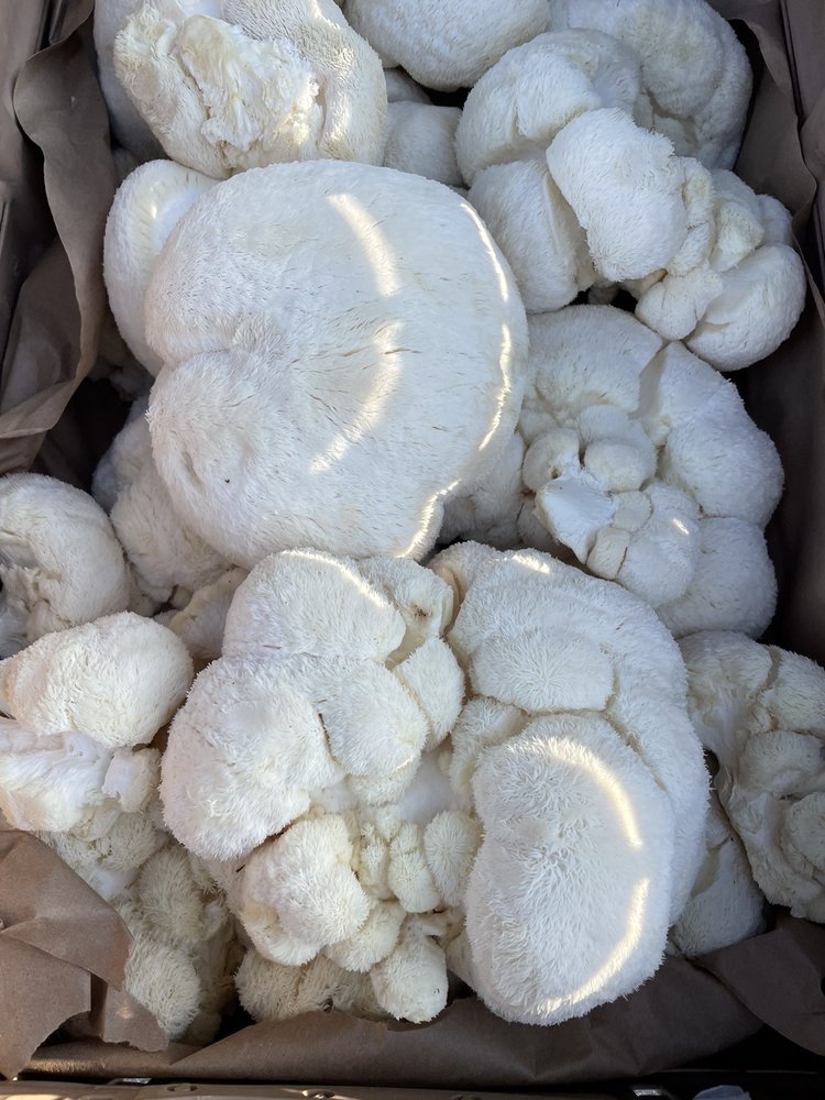 Davidson Farmers' Market