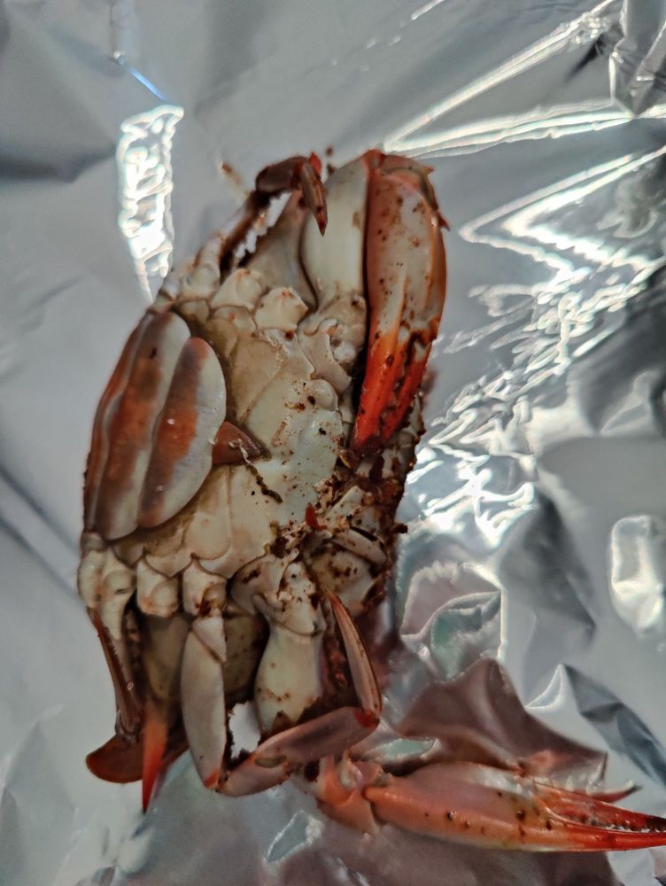 Brook Road Seafood Market Brook Road Seafood Market