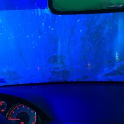 Delta Sonic Car Wash 37 Photos 53 Reviews Auto Detailing Photo Of Delta Sonic Car Wash Williamsville Ny United States