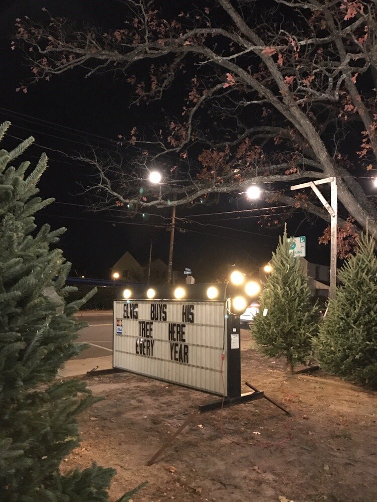 Suzanne Eaton Christmas Trees