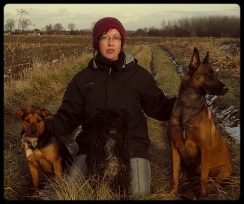 dressage chien wattrelos