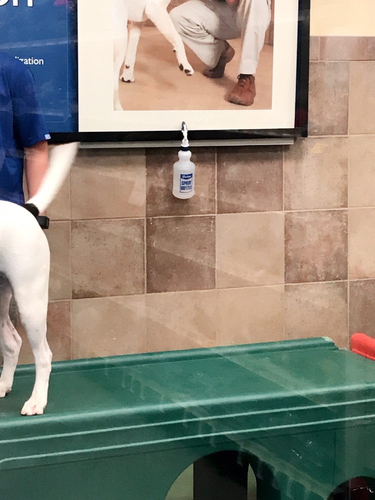 Petsmart 42 Photos 105 Reviews Pet Training 12971 Fair Lakes Petsmart 42 Photos 105 Reviews Pet Training 12971 Fair Lakes Pkwy Fairfax Va Phone Number Yelp