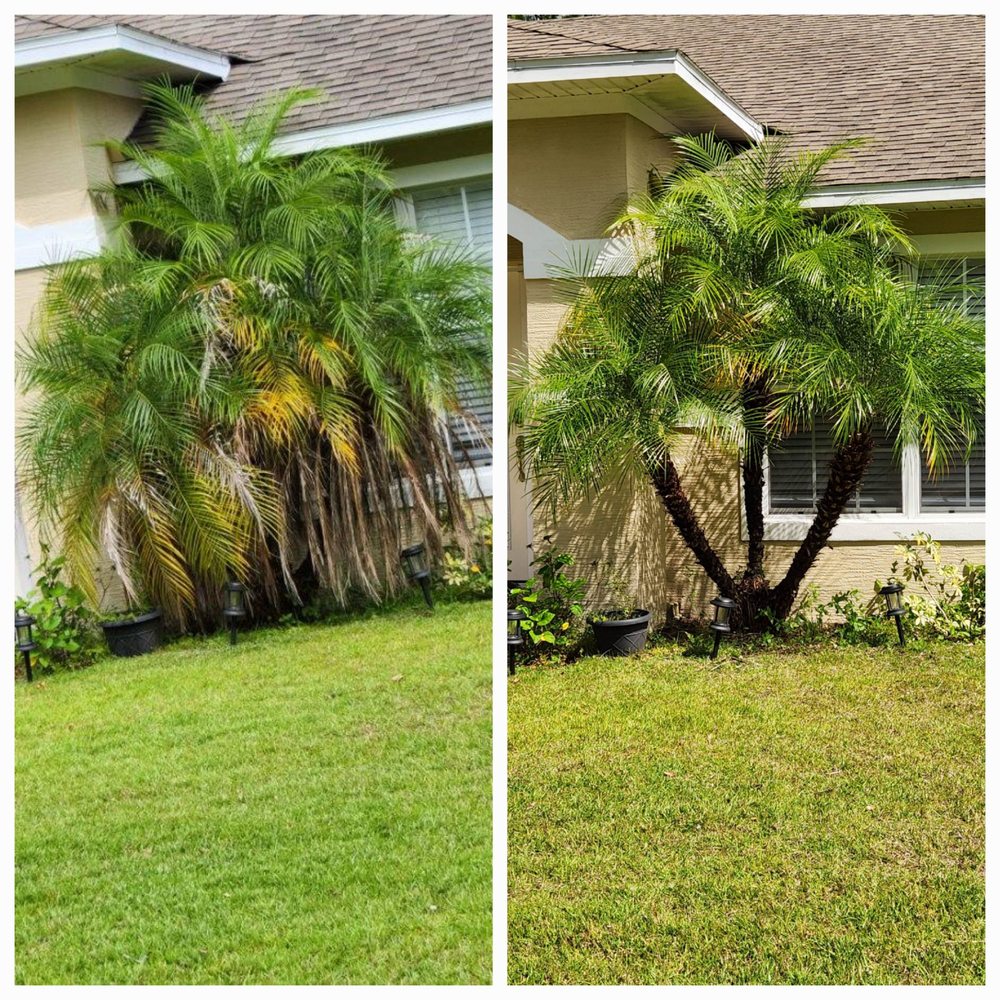 LawnX