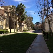Weyburn Terrace Apartments Ucla Graduate Housing 20 Photos 25 United Photo Of Weyburn Terrace Apartments Ucla Graduate Housing Los Angeles Ca