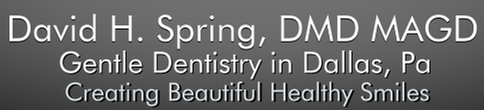 image of business David H Spring, DMD
