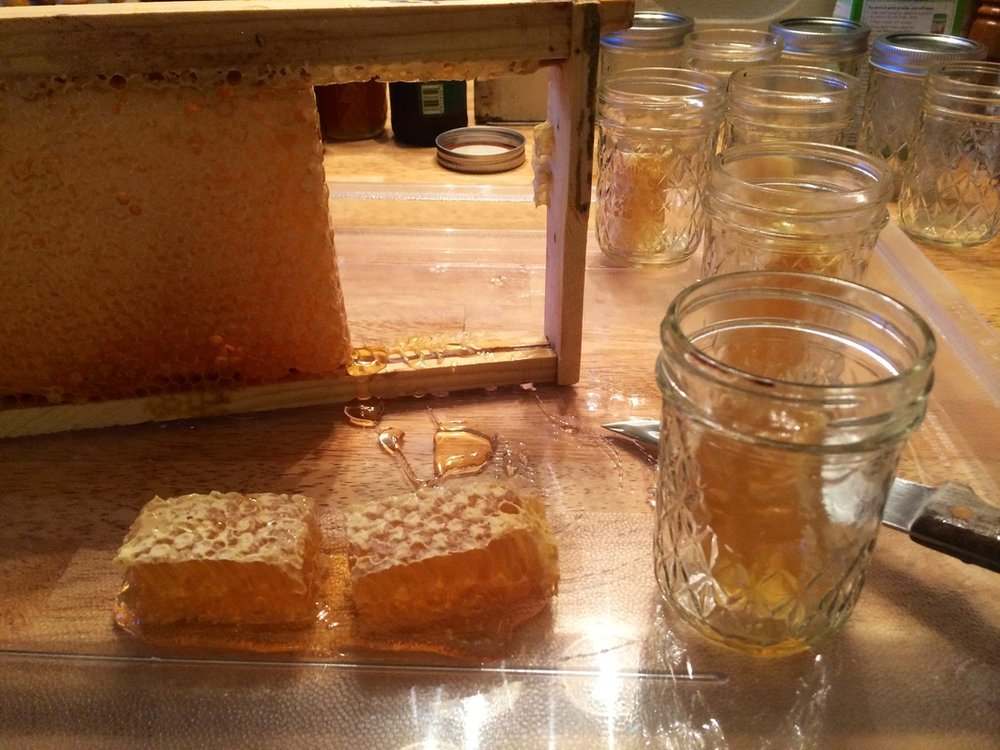 North Bosque Honey