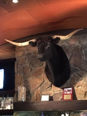 LongHorn Steakhouse 3118 Daniels Rd Winter Garden, FL Restaurants ... LongHorn Steakhouse 3118 Daniels Rd Winter Garden, FL Restaurants ...