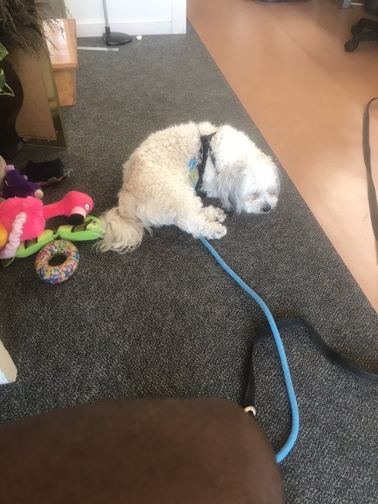 A & J Alterations & Cleaners