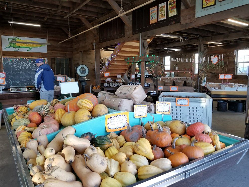 Bernards Farm 17 Photos Farmers Market 18755 SW Hwy 18