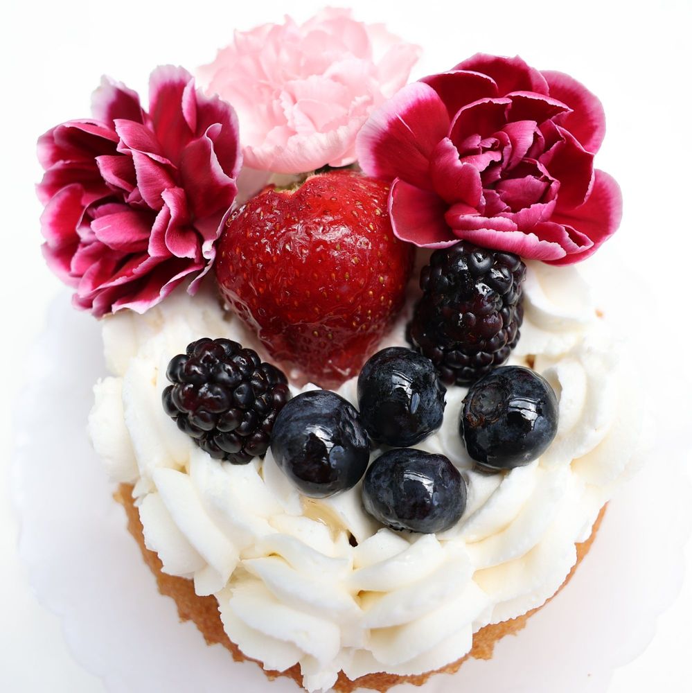 Starry Lane Bakery