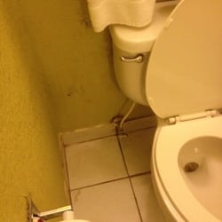 Super 8 Rayville Hotels 116 Cottonland Drive La Photo Of Super 8 Rayville La United States Mold On The