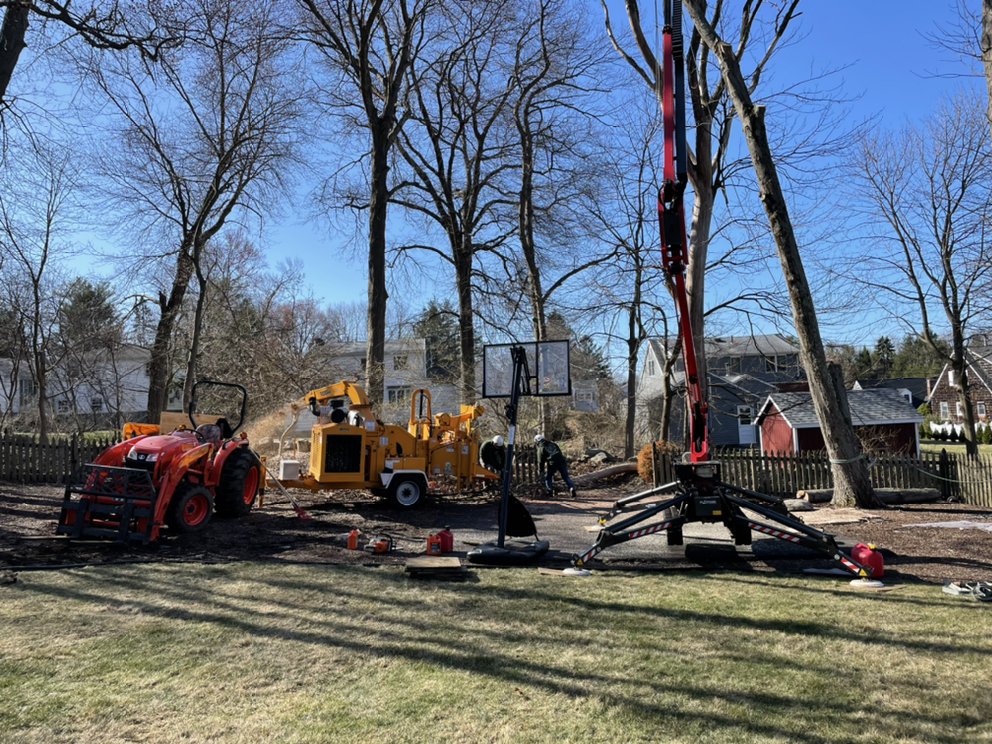 Cruz Tree Services, LLC