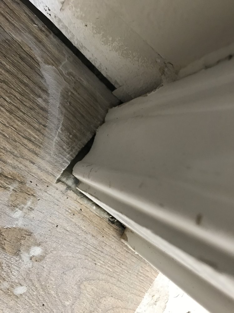 image of business Tile by Jason