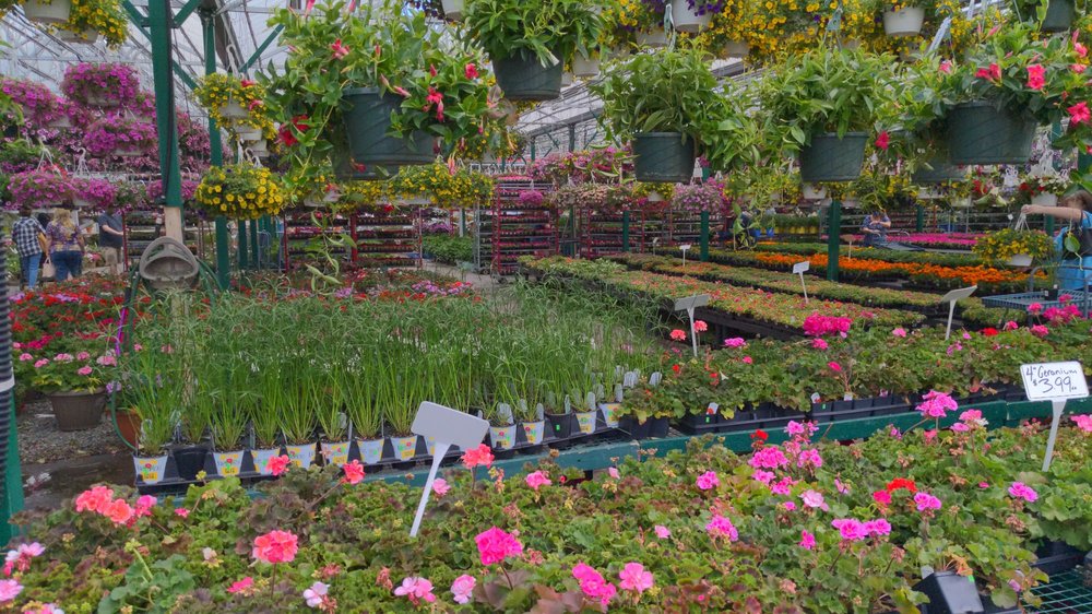 Photo of Calareso's Farm Stand