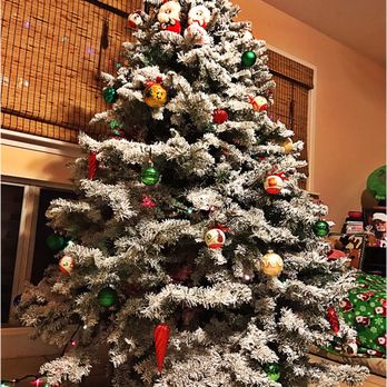 habilitat christmas trees christmas trees 45 035 kuhonu pi photo of habilitat christmas trees kaneohe hi united states our beautiful christmas