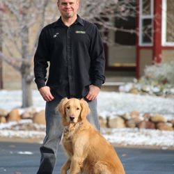 colorado springs dog training colorado springs dog training