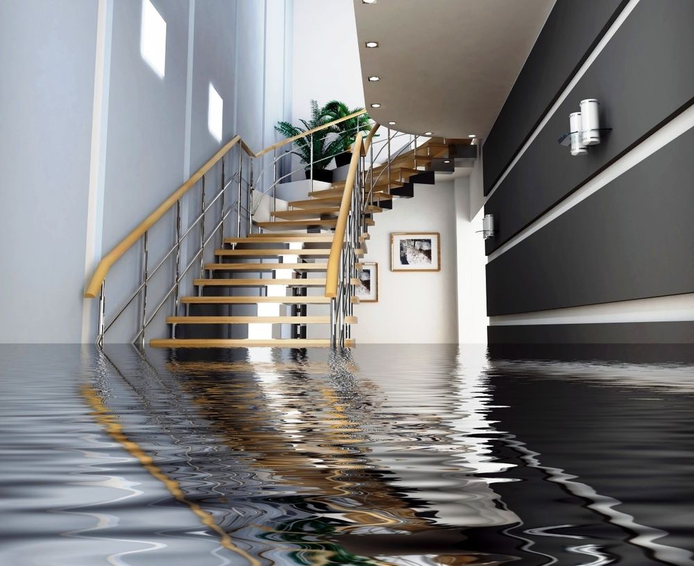 Sump Pump Gurus