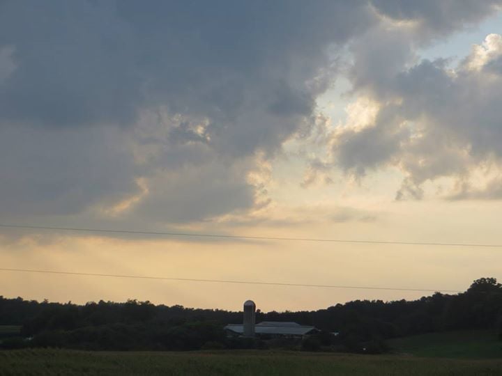 Maple View Farm Milk Company