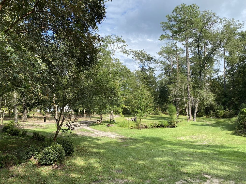 Mattress Firm New Bern