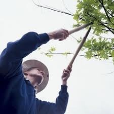 Bushman Kent Tree Service