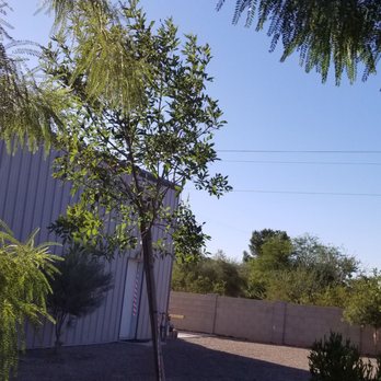 Moon Valley Nurseries 233 Photos 202 Reviews Photo Of Moon Valley Nurseries Phoenix Az United States Another Beautiful