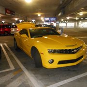 Hertz Rent A Car - 36 Photos & 241 Reviews - Car Rental - 1 Airport