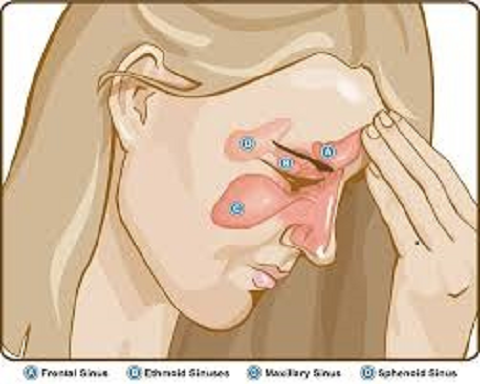 image of business Adult & Pediatric Allergy Associates