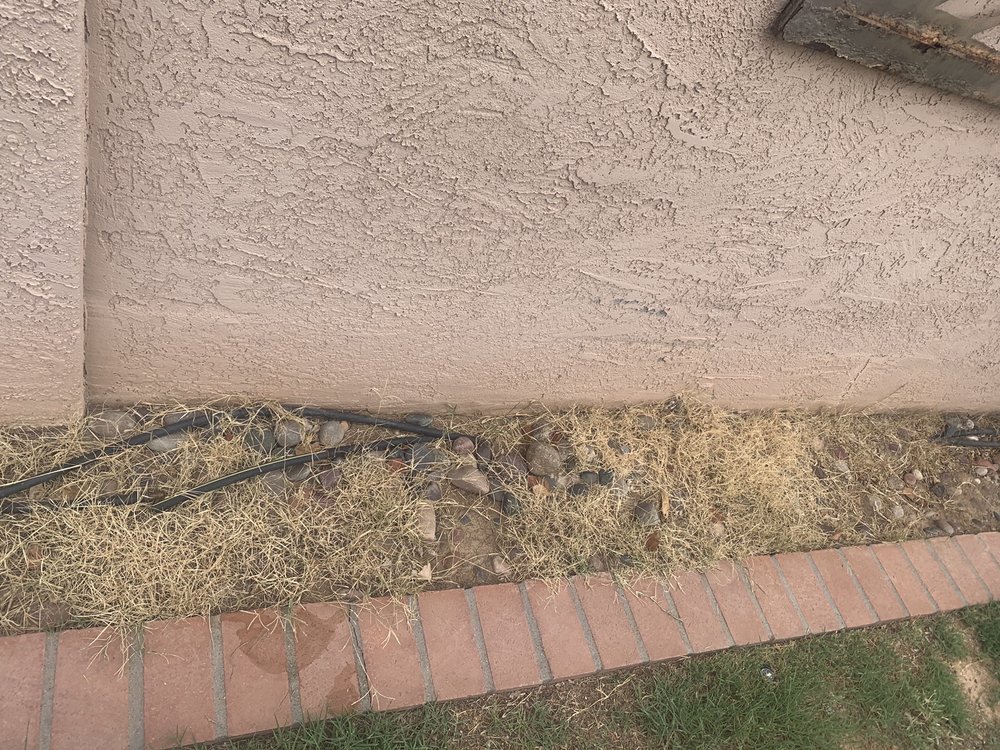 Thunderbird Weed and Pest