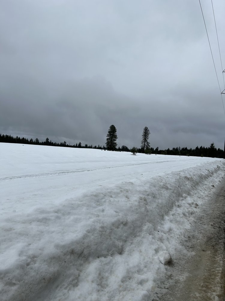 Five Star Real Estate