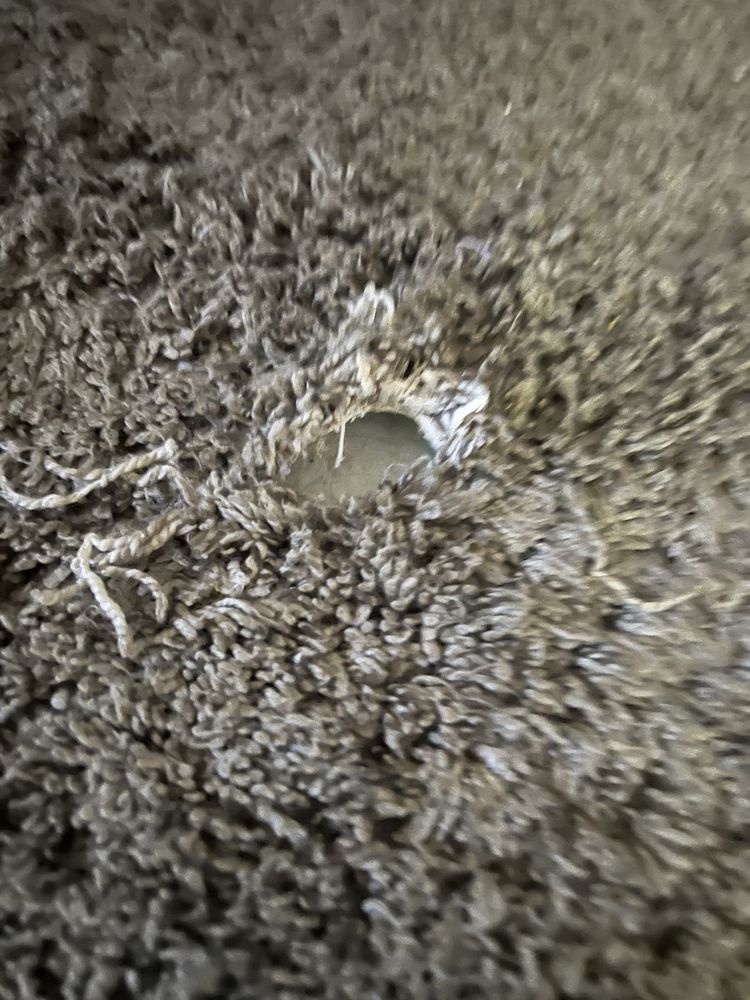 M & M Carpet