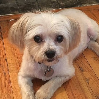 Metropolitan Animal Specialty Hospital - 13 Photos & 24 Reviews