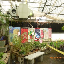 Meadows Farms Nurseries Great Falls 21 Reviews Photo Of Meadows Farms Nurseries Great Falls Vienna Va United States
