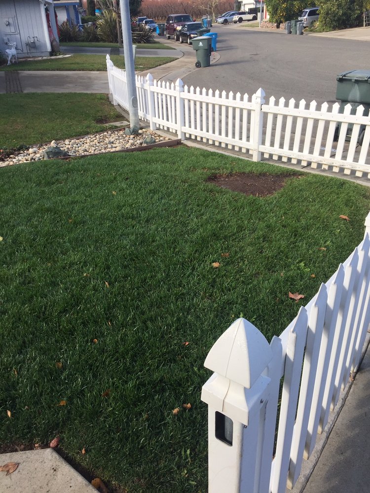 Cutting Edge Yard Care