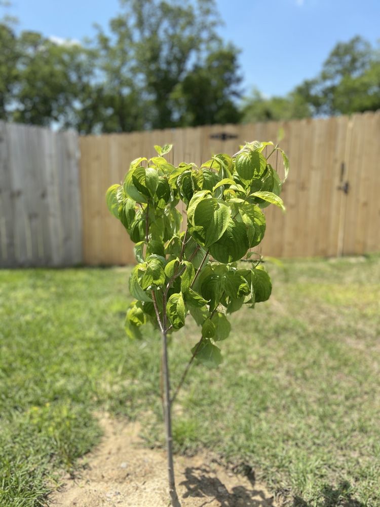 Click’s Nursery & Greenhouse