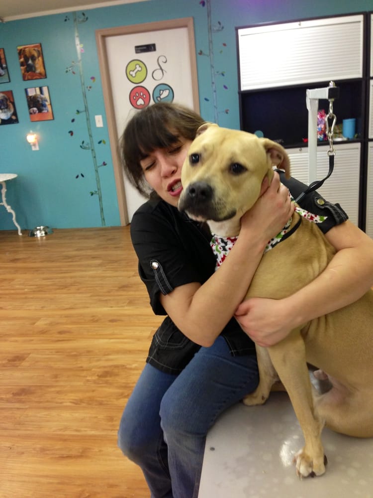 Get Dogs Nails Clipped Near Me Get Dogs Nails Clipped Near Me