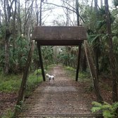 Flatwoods Park Trail With Dogs Flatwoods Park Trail With Dogs
