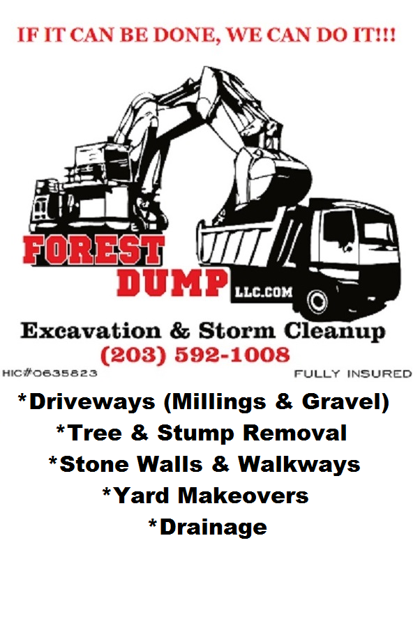 Forest Dump
