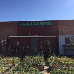 A Nursery 26 Photos Nurseries Gardening West Adams Los Photo Of A Nursery Los Angeles Ca United States