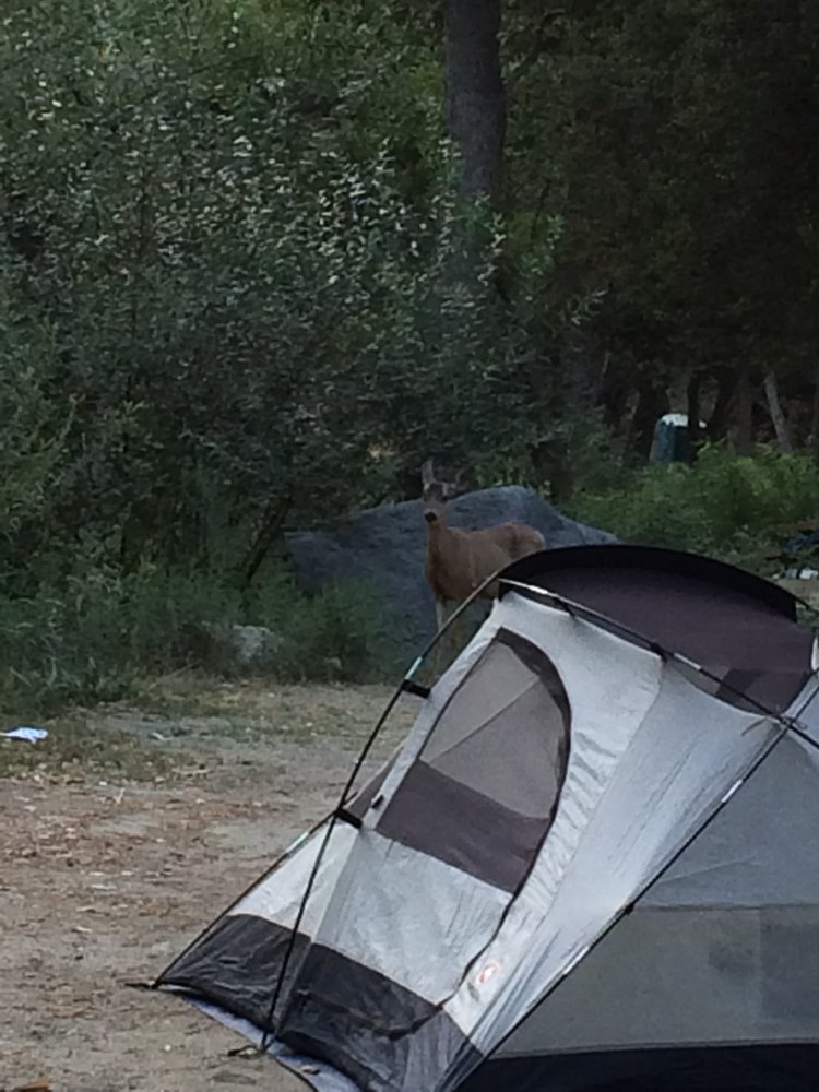 La Jolla Indian Campground 77 Photos & 121 Reviews Campgrounds
